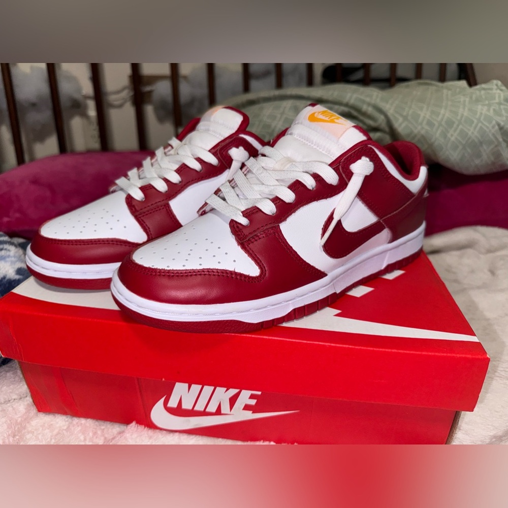 Nike dunk low retro